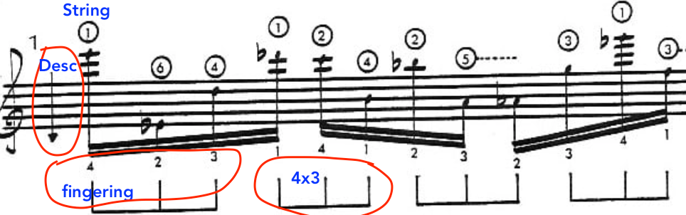 12-chromatic-forms-for-the-guitar-pat-martino